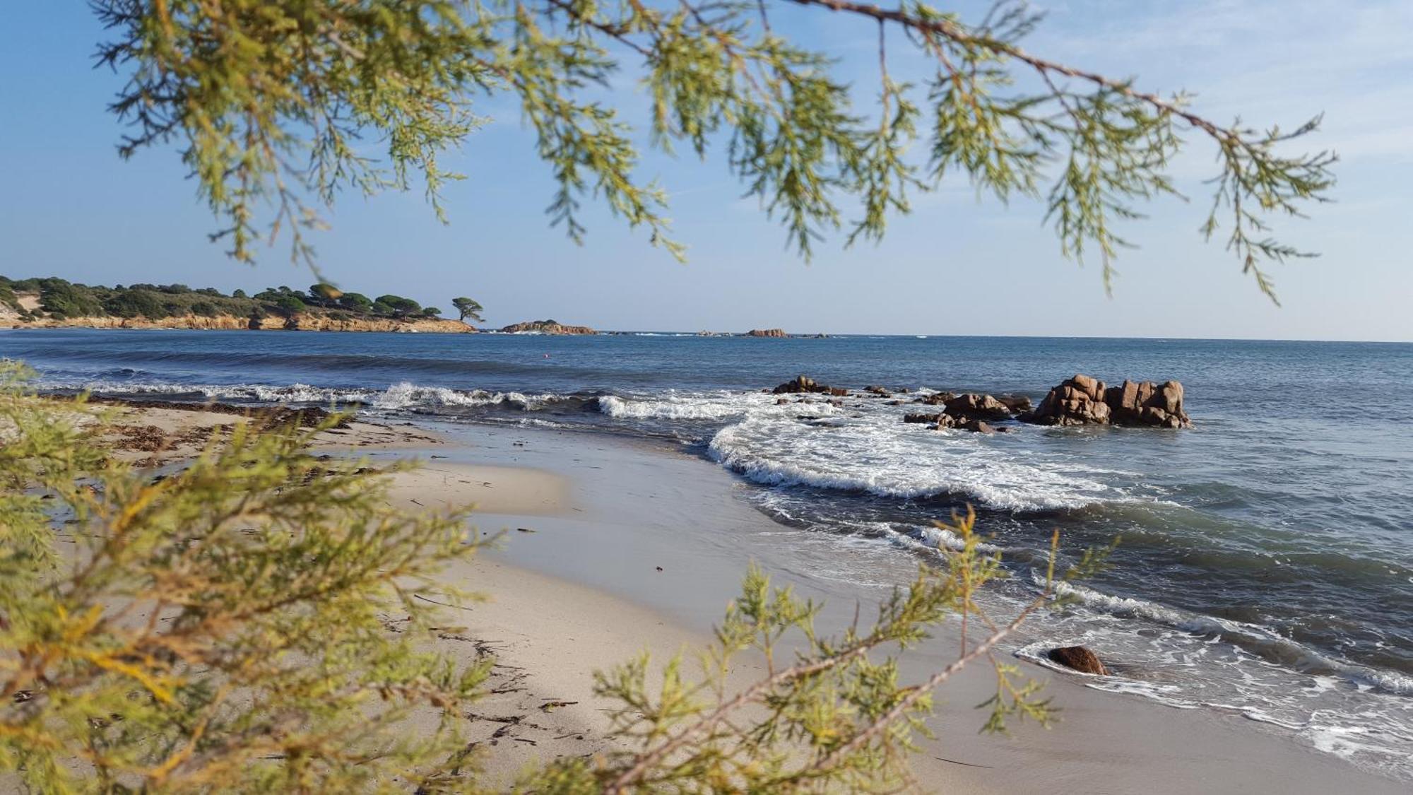 Locations Residence Rocca Rossa Palombaggia Classees 3 Etoiles Porto-Vecchio  Exterior photo
